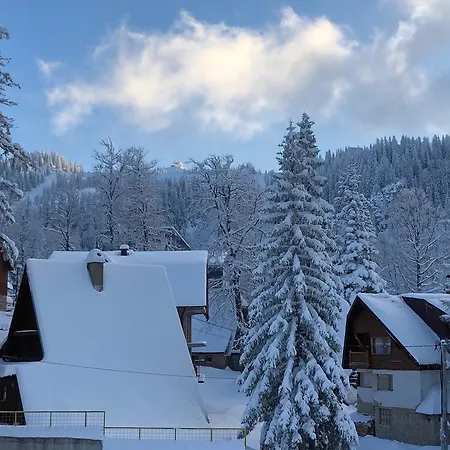 Mont 1 *